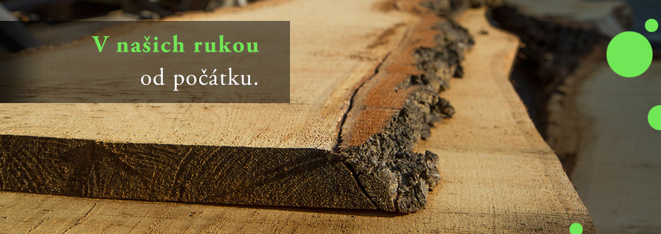 slide3_vnasichrukou